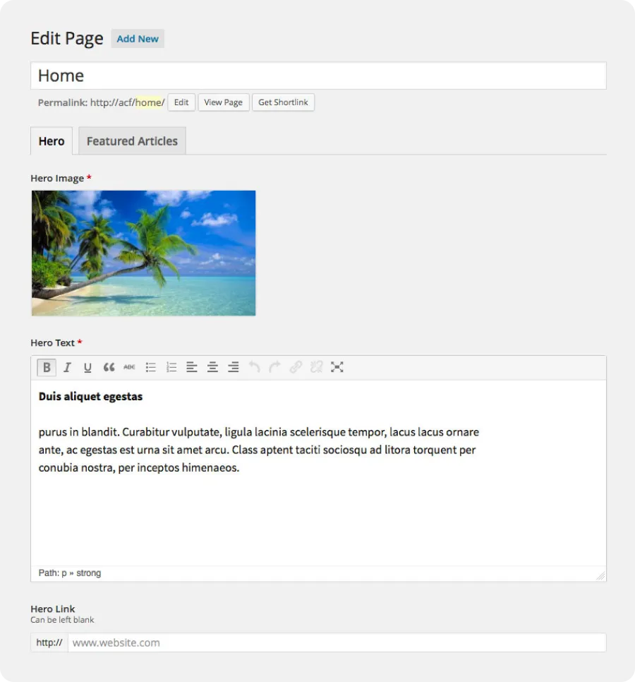 Custom CMS per project